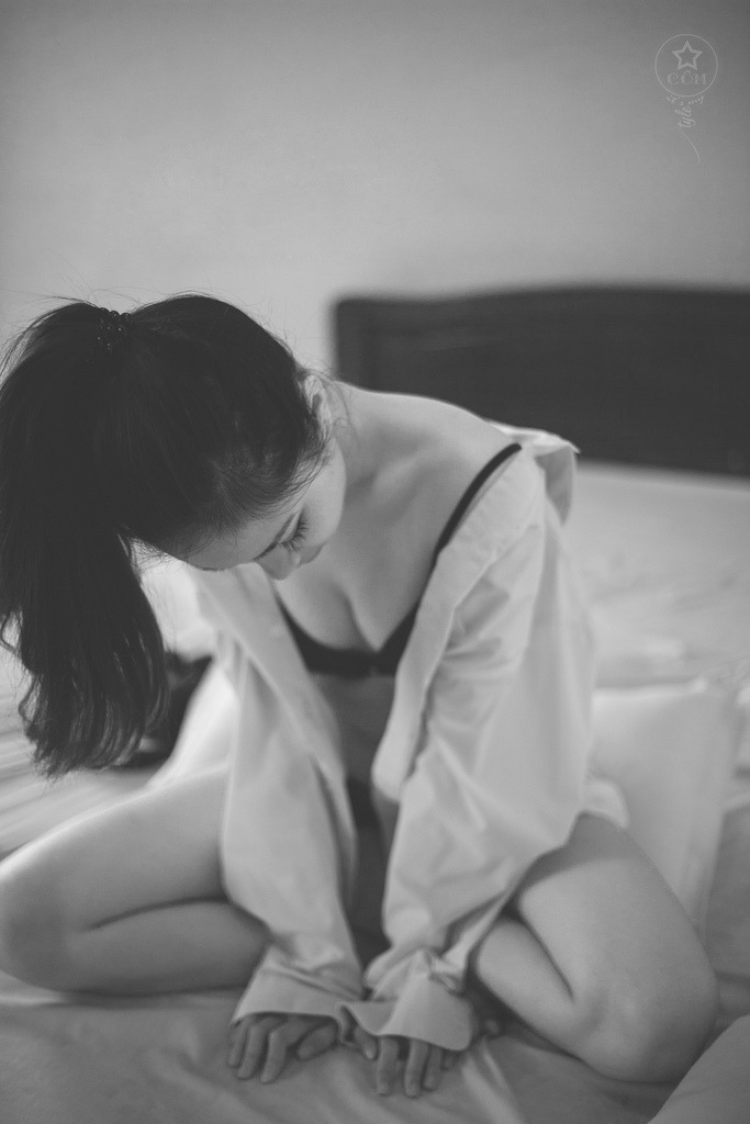 扑银狐